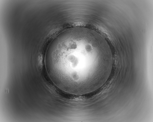 X0000094350550200711021434