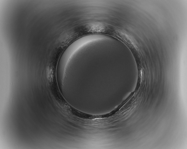 X0000094350551200711021434