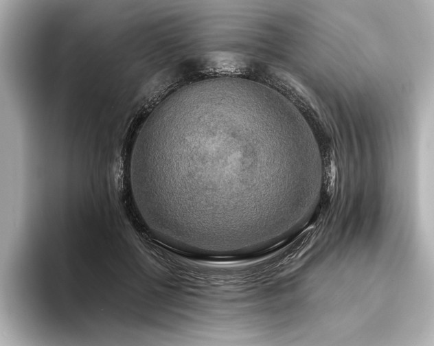 X0000094350552200711021434