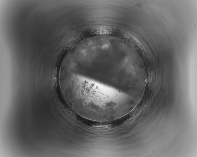 X0000094350553200711021435