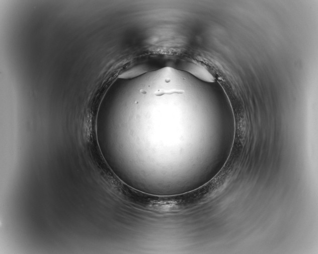 X0000094350554200711021435