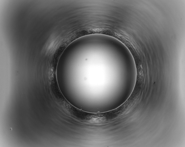 X0000094350555200711021435