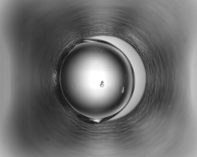 X0000094350556200711021435