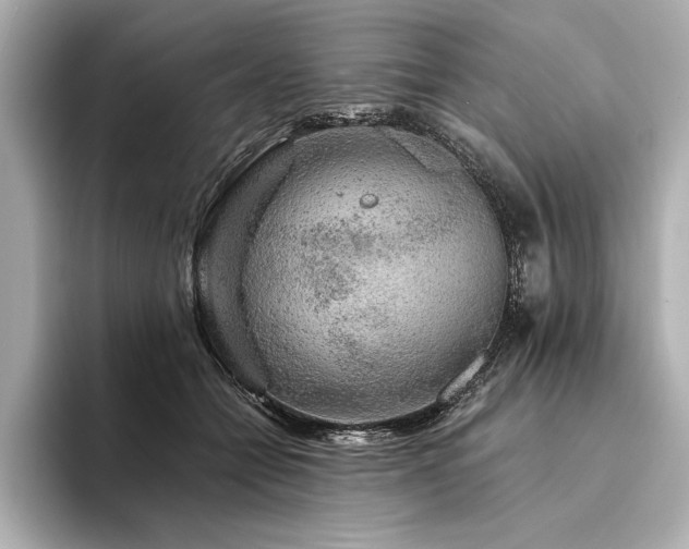 X0000094350558200711021435