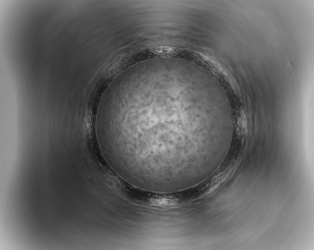 X0000094350561200711021435