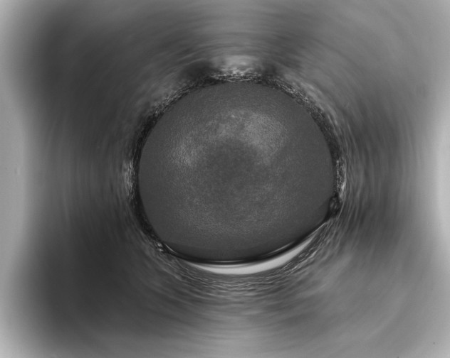 X0000094350563200711021435