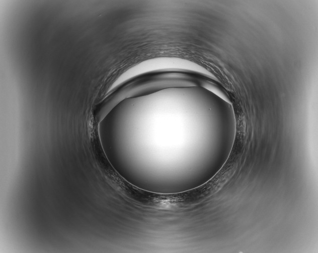 X0000094350564200711021435