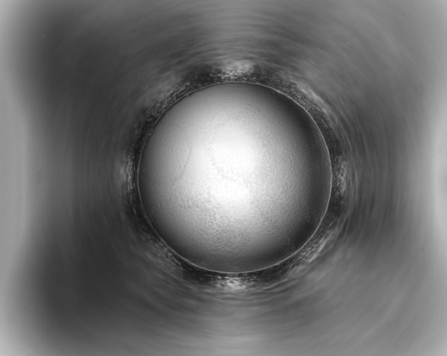 X0000094350565200711021435