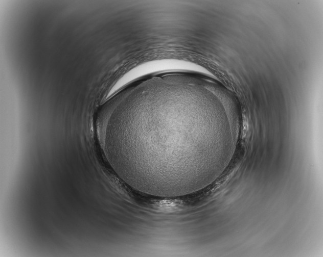 X0000094350566200711021435