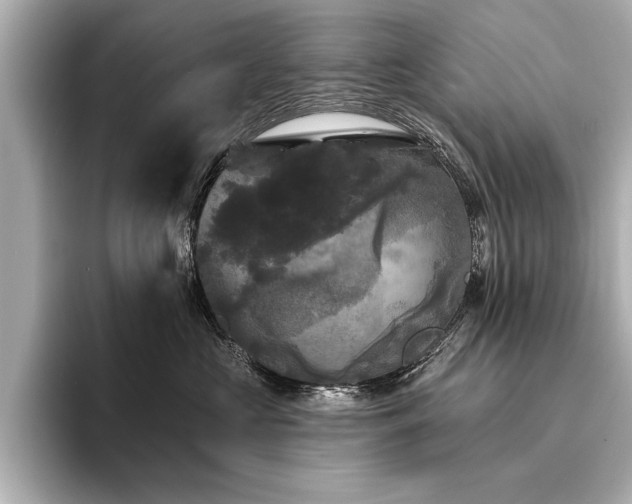 X0000094350573200711021435