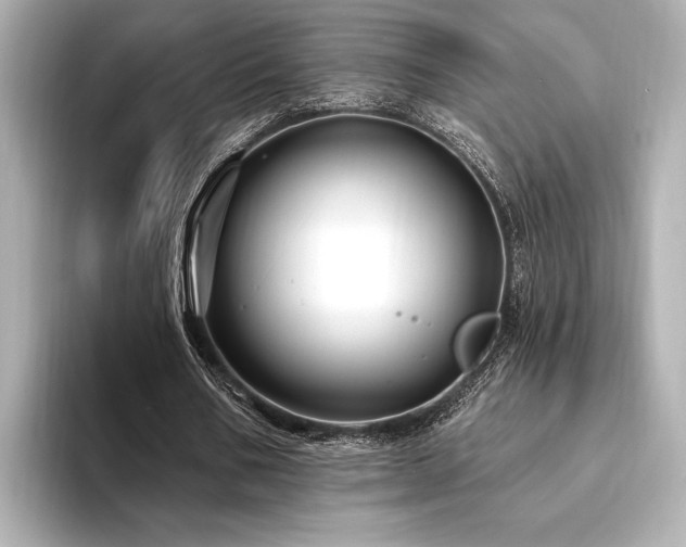 X0000094350578200711021434