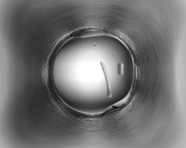 X0000094350580200711021434