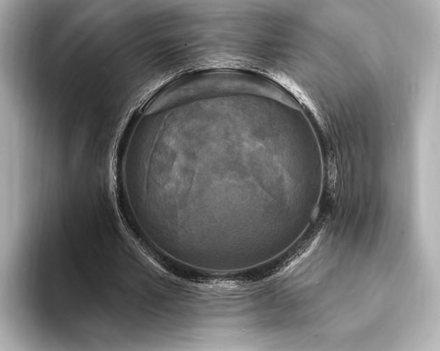 X0000094350581200711021434