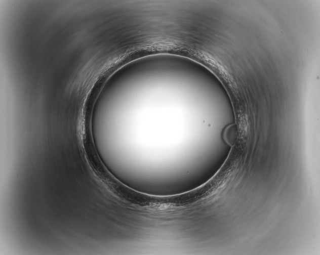 X0000094350582200711021434