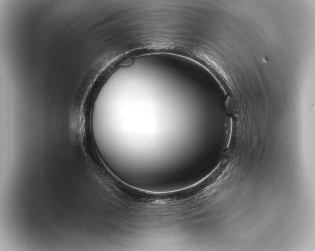 X0000094350584200711021434