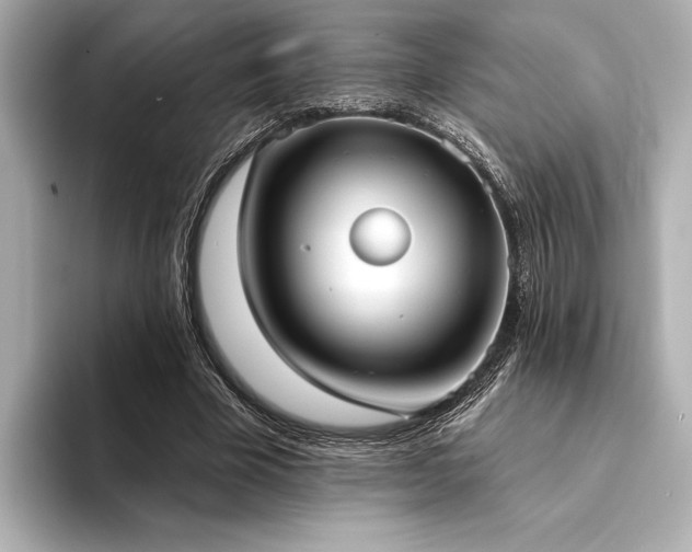 X0000094350585200711021434