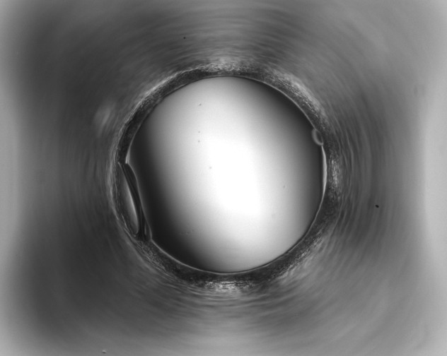 X0000094350588200711021434