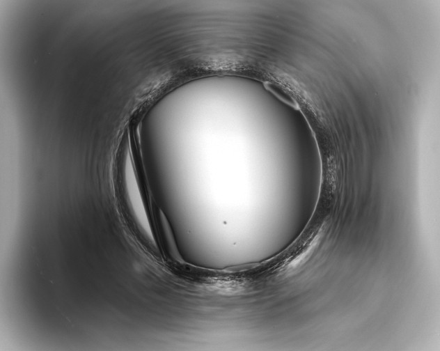 X0000094350589200711021434