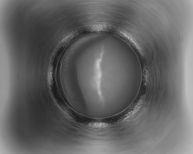 X0000094350590200711021434