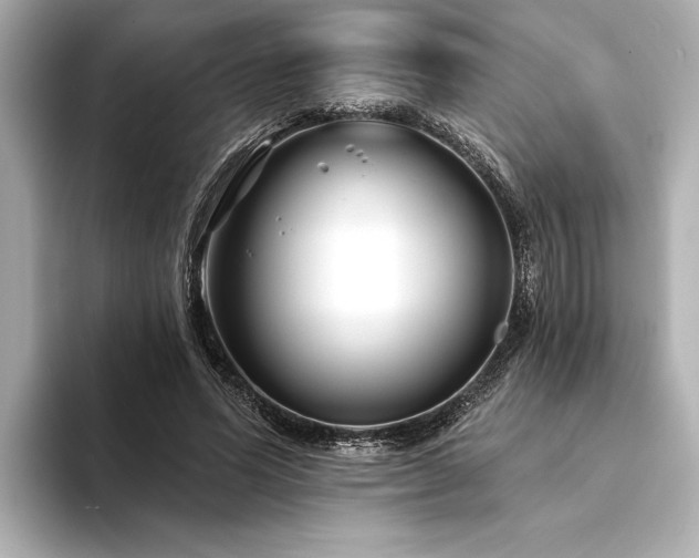 X0000094350591200711021434