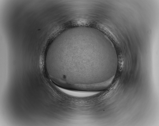 X0000094350593200711021434