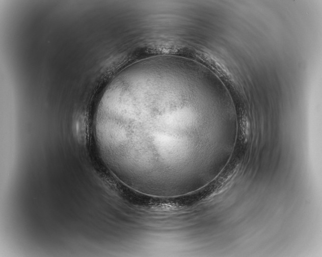 X0000094350594200711021434