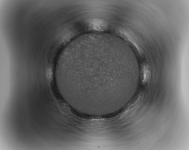 X0000094350595200711021434