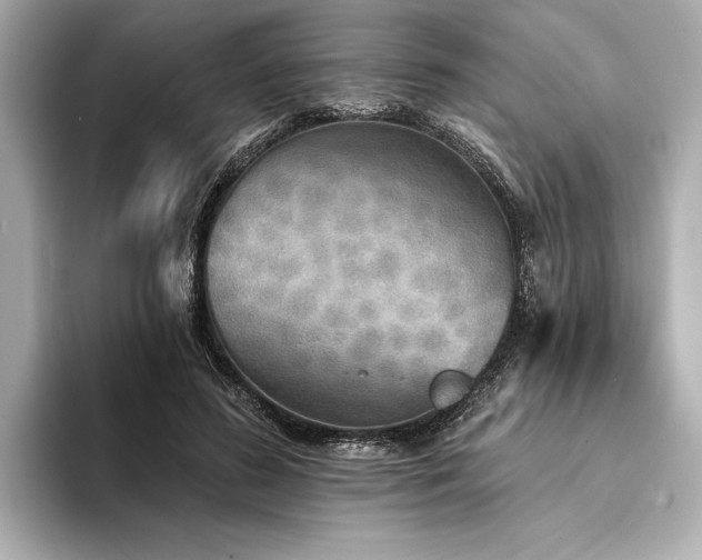 X0000094350596200711021434