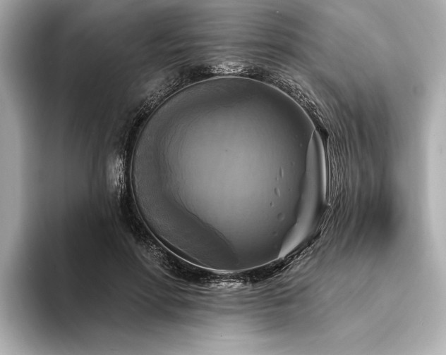 X0000094350598200711021434