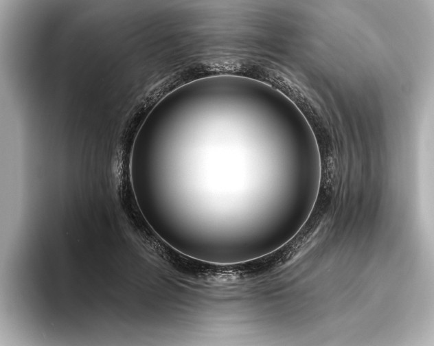 X0000094350600200711021434