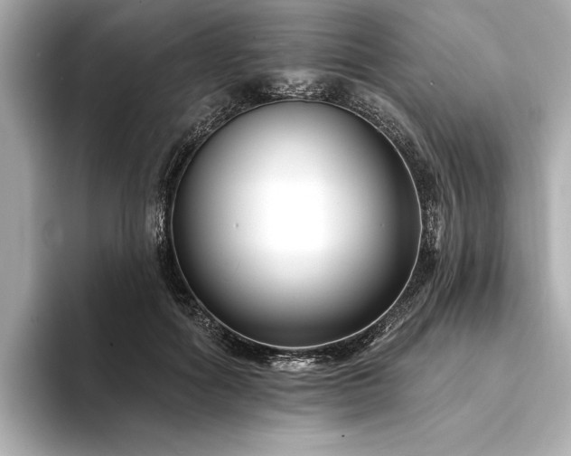 X0000094350602200711021434