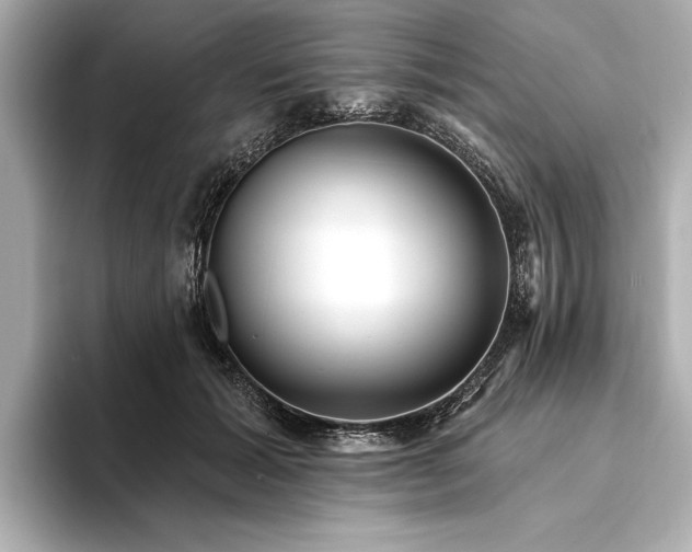 X0000094350605200711021434