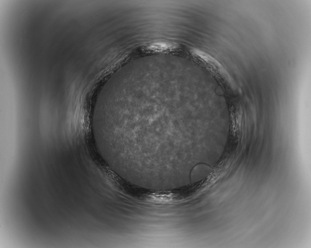 X0000094350606200711021434