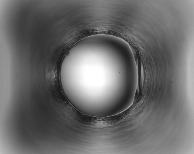 X0000094350608200711021434