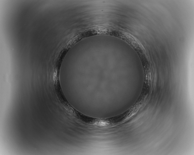 X0000094350610200711021434