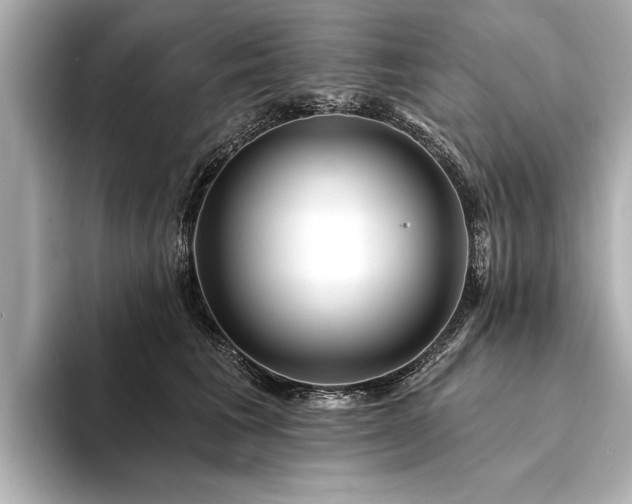 X0000094350613200711021434