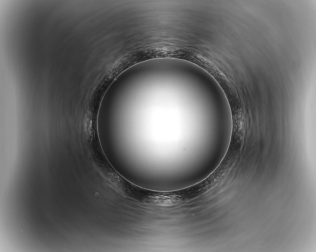 X0000094350615200711021434