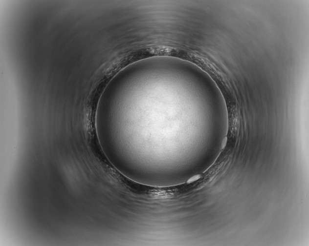 X0000094350616200711021434