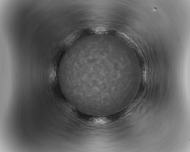 X0000094350618200711021434