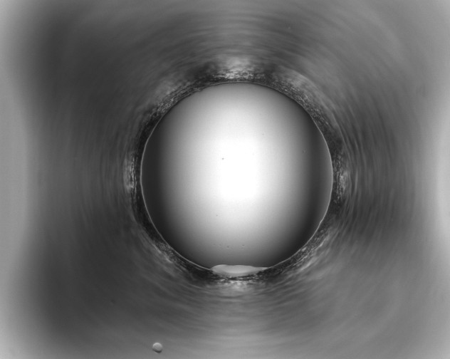 X0000094350620200711021434