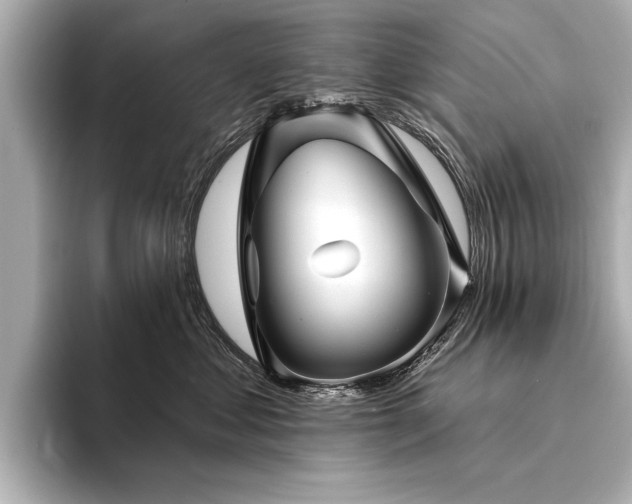 X0000094350621200711021434