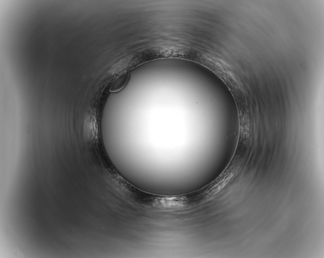 X0000094350622200711021434