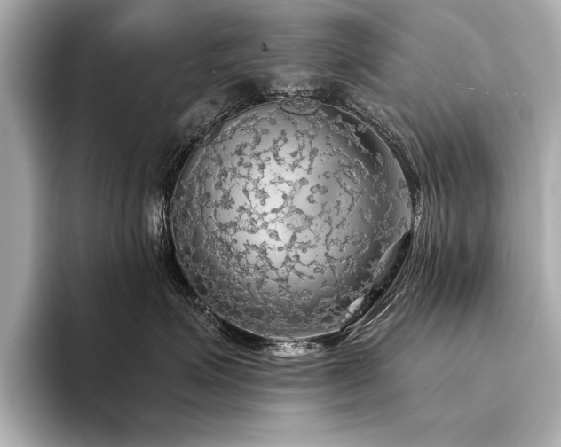 X0000094350623200711021434