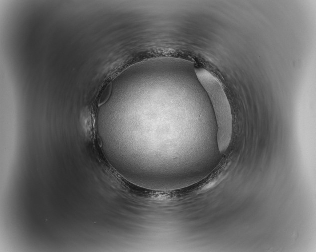 X0000094350624200711021434