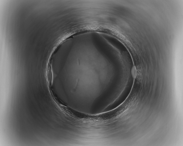 X0000094350626200711021433