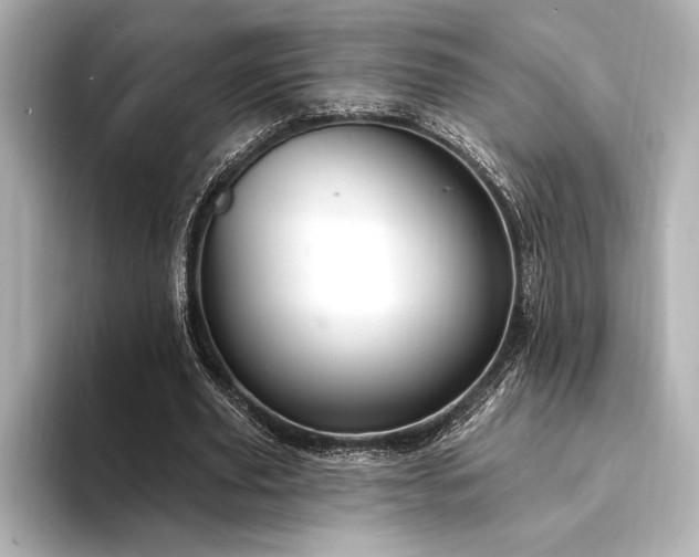 X0000094350629200711021433