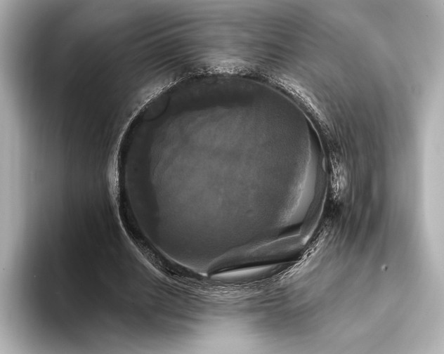 X0000094350630200711021433