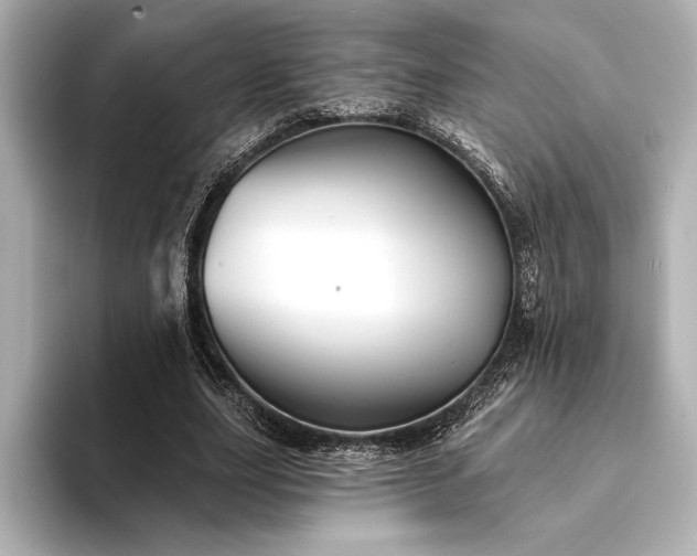 X0000094350631200711021433