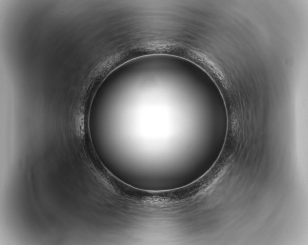 X0000094350633200711021433