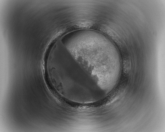 X0000094350634200711021433